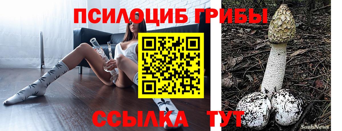 Псилоцибиновые грибы прущие грибы Дмитров