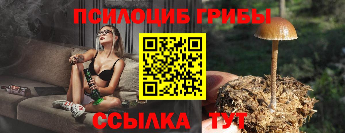 Псилоцибиновые грибы прущие грибы  Вход с VPN  Дмитров 